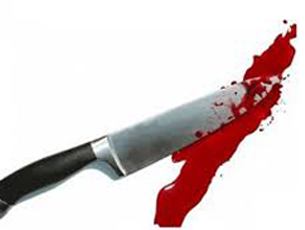 Ex-Bihar minister stabbed, prime suspect arrested
